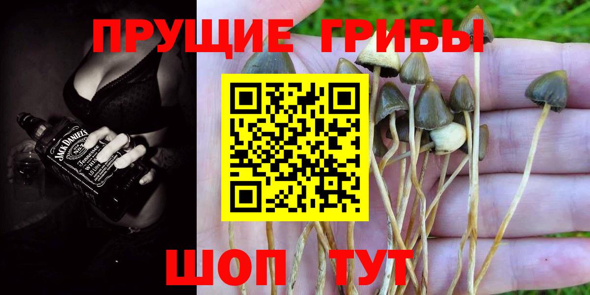 Псилоцибиновые грибы MAGIC MUSHROOMS Ивантеевка