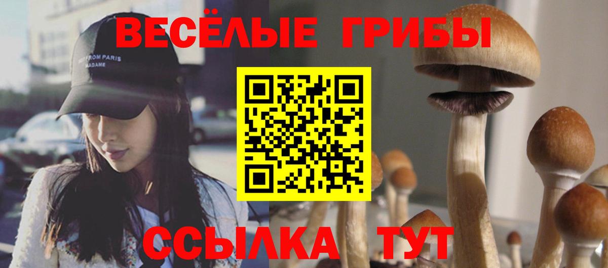 даркнет сайт  Вход с VPN  Ивантеевка  Псилоцибиновые грибы мицелий  Псилоцибиновые грибы Psilocybine cubensis 